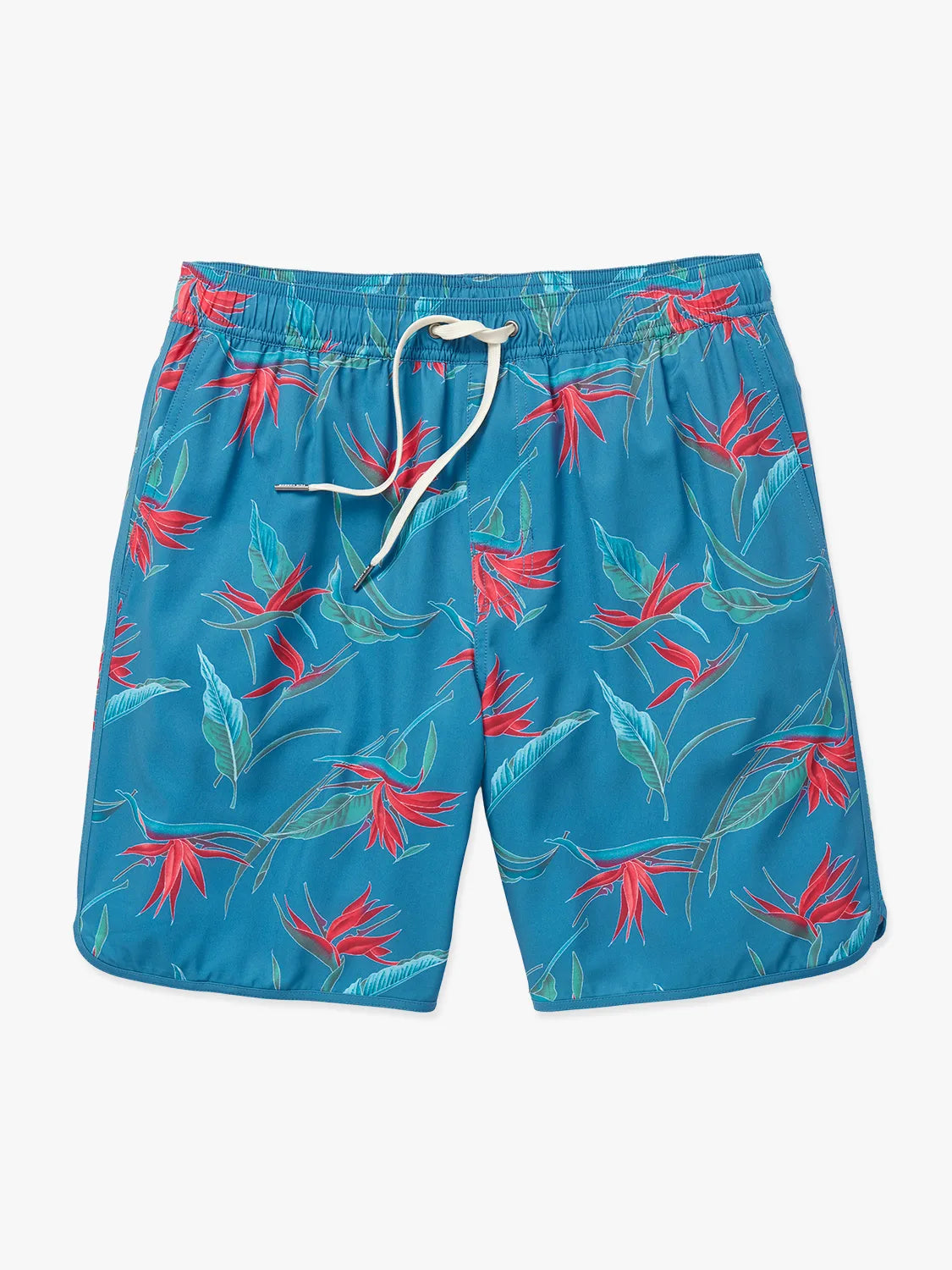 ACH8_440_Teal-Birds-Of- ACH8_440_Teal-Birds-Of-