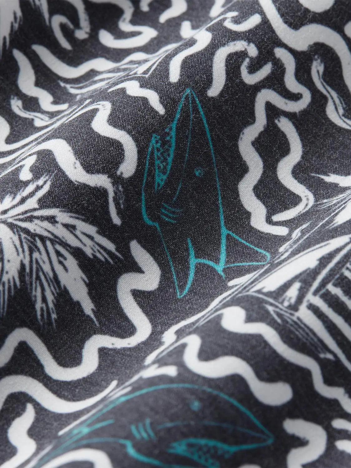 Bayberry Trunk | Groovy Sharks