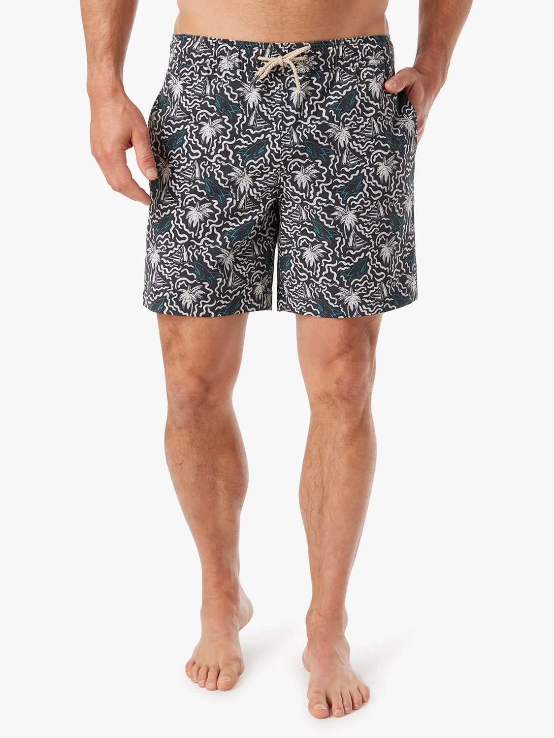 Bayberry Trunk | Groovy Sharks