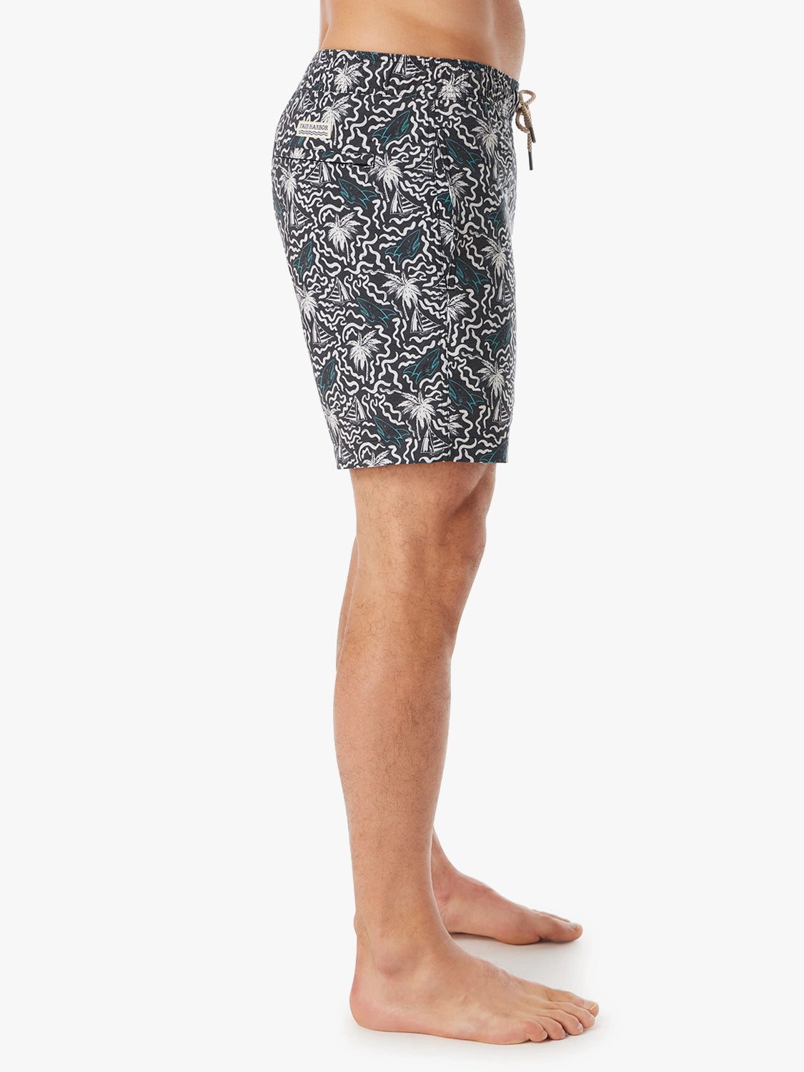 Bayberry Trunk | Groovy Sharks