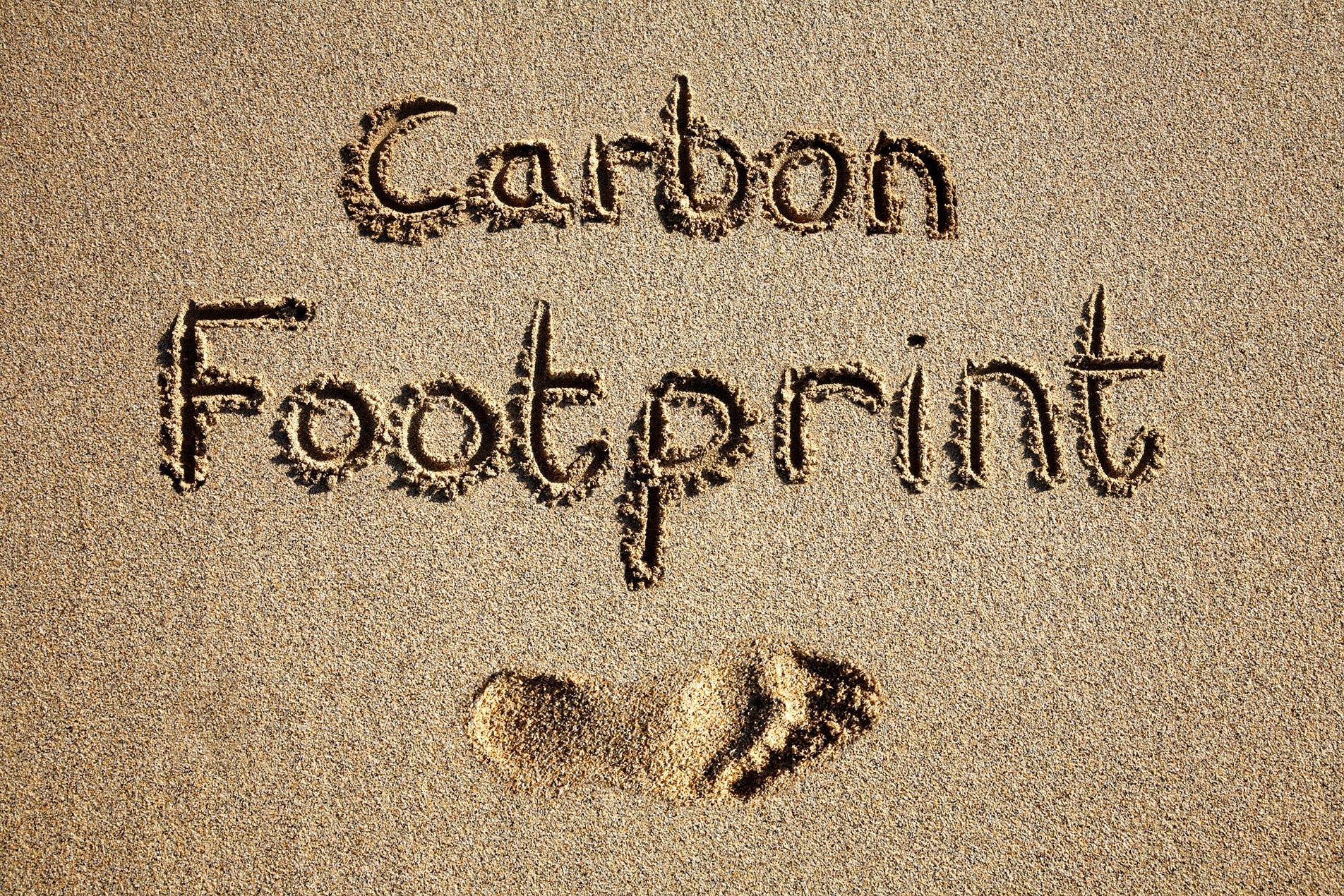 Learn Your Carbon Footprint with These Calculators Fair Harbor