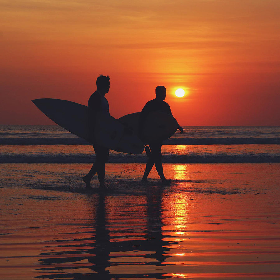 A Sunshine State of Mind - Part 2