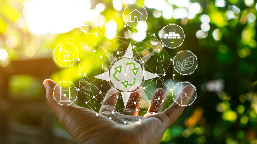 5 Sustainable Brands That Forecast the Future