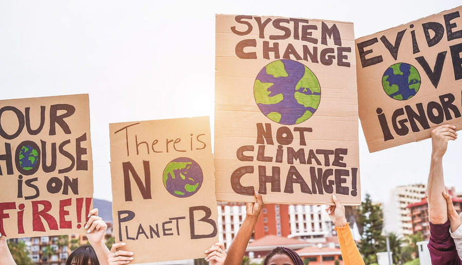 How to Turn Climate Anxiety into Action