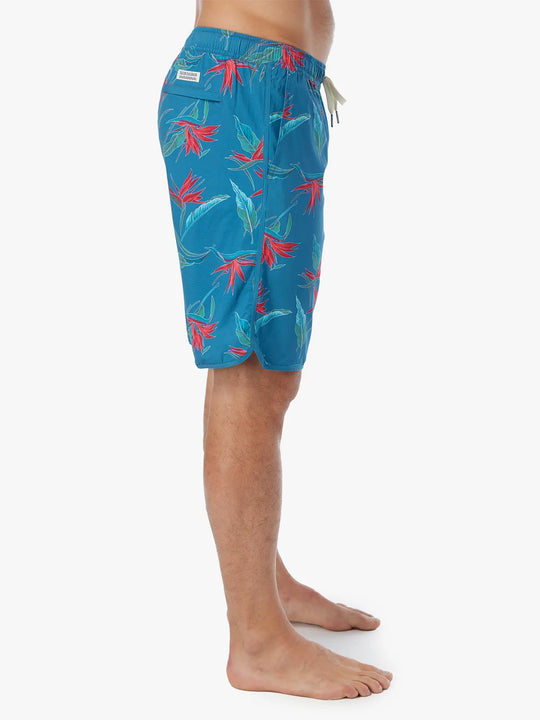 teal-birds-of-paradise-inseam-10