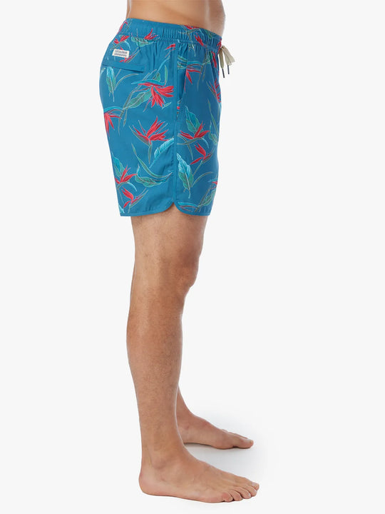 teal-birds-of-paradise-inseam-6