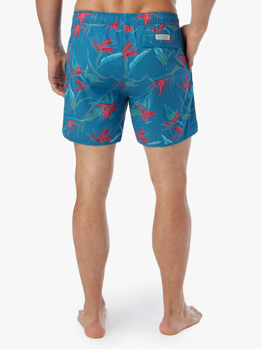 teal-birds-of-paradise-inseam-6