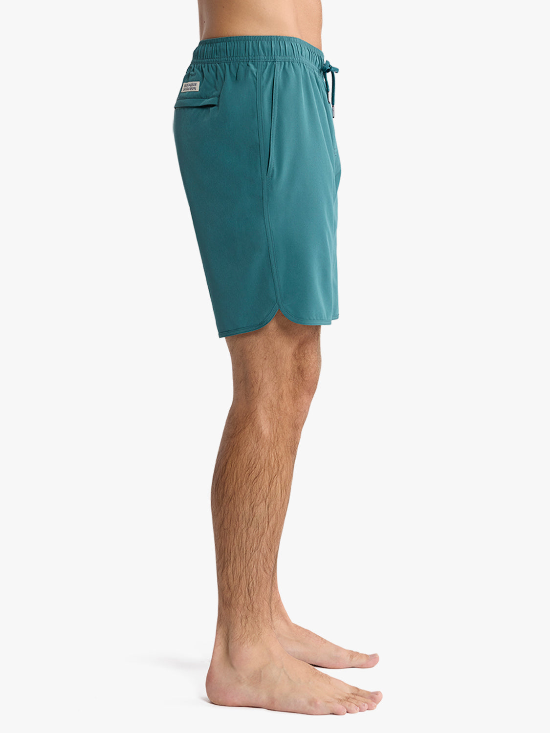 Anchor Trunk | Seapine