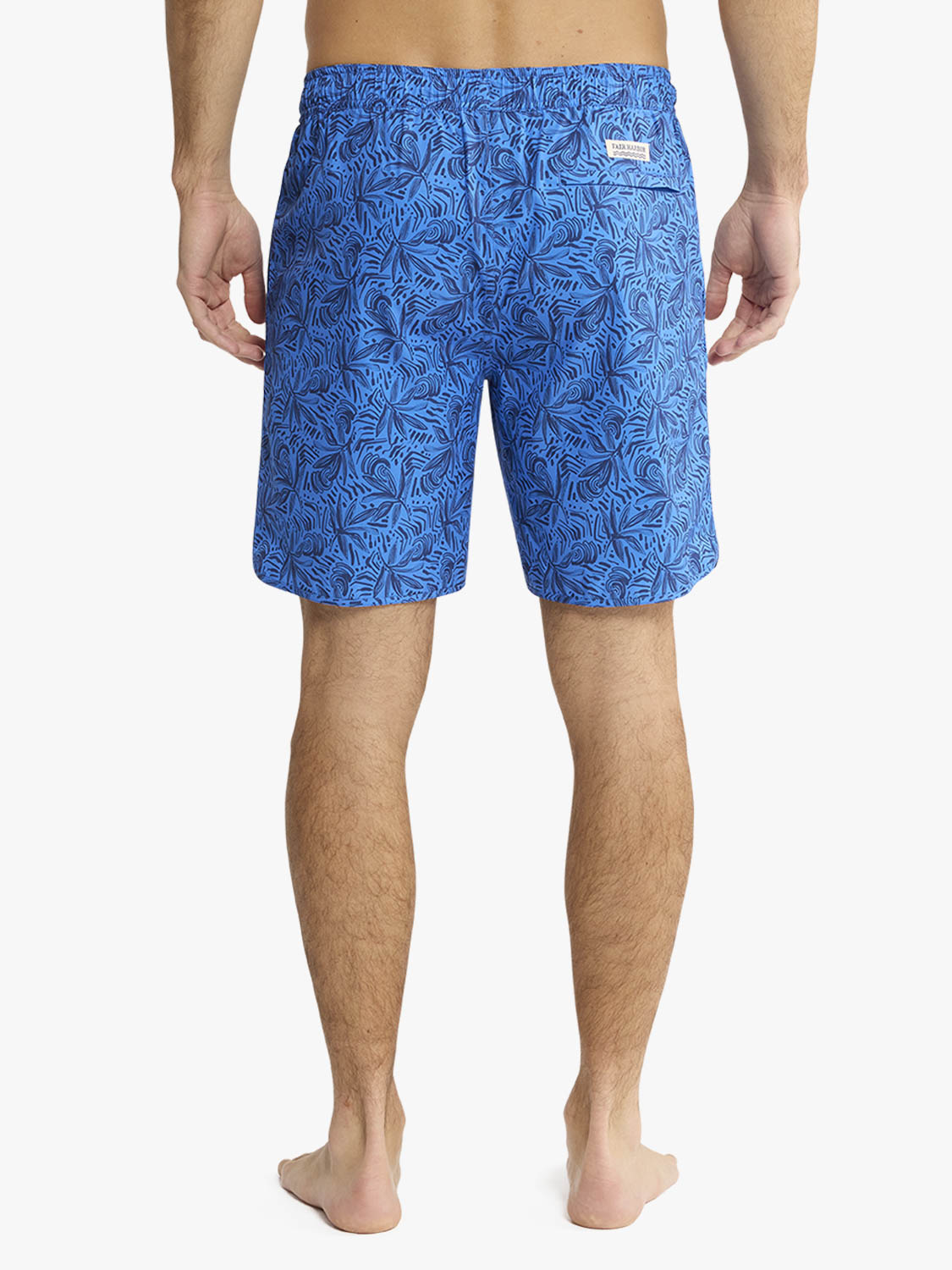Anchor Trunk | Azure Painted Leaves