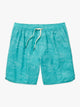 Anchor Trunk | Aqua Topographic