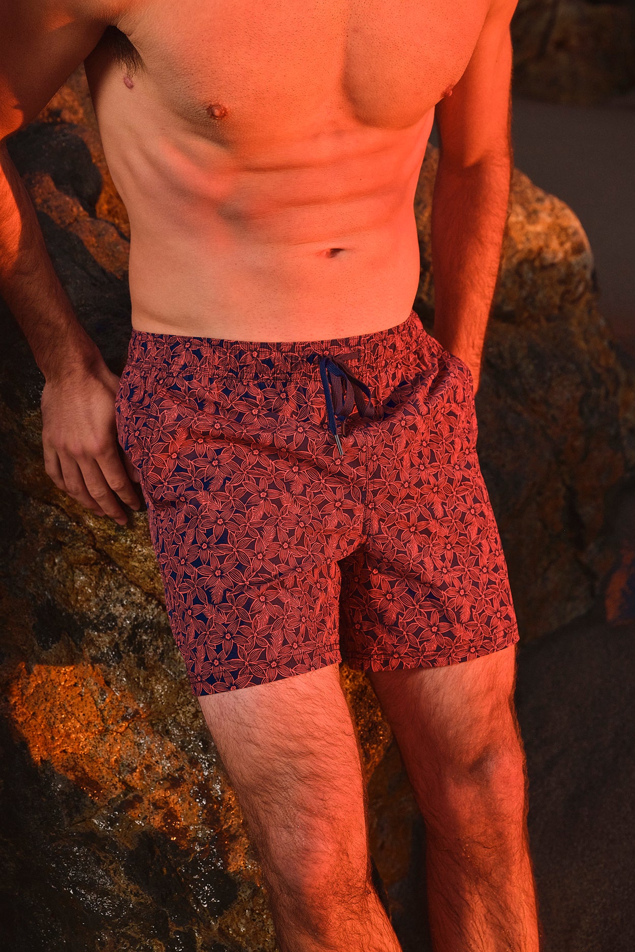 Bungalow Trunk | Navy Starsail