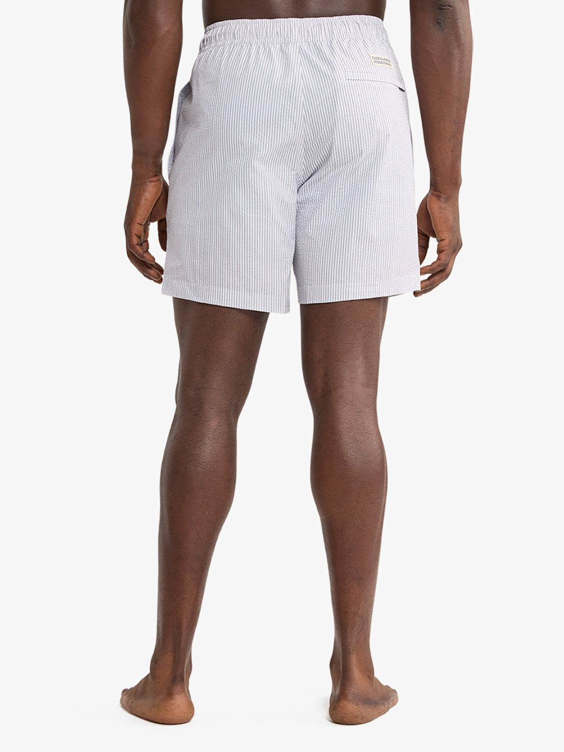 Bayberry Trunk | Grey Seersucker