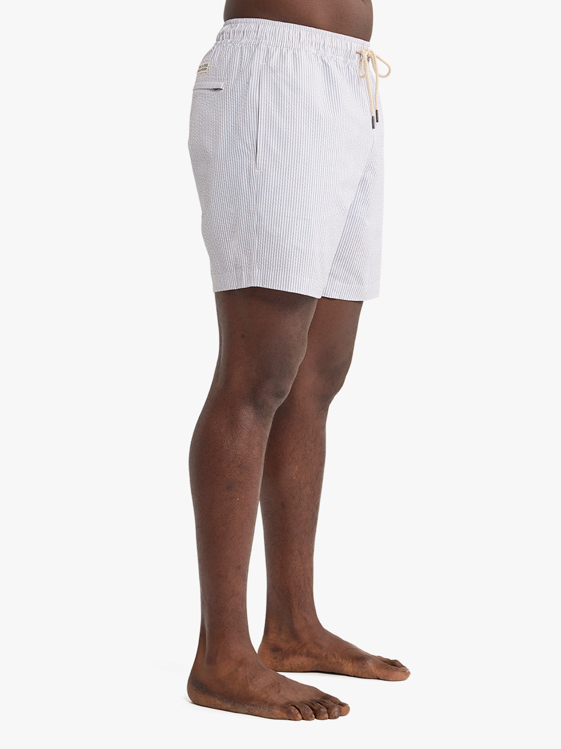 Bayberry Trunk | Grey Seersucker