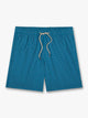 Bayberry Trunk | Teal Sea Geo