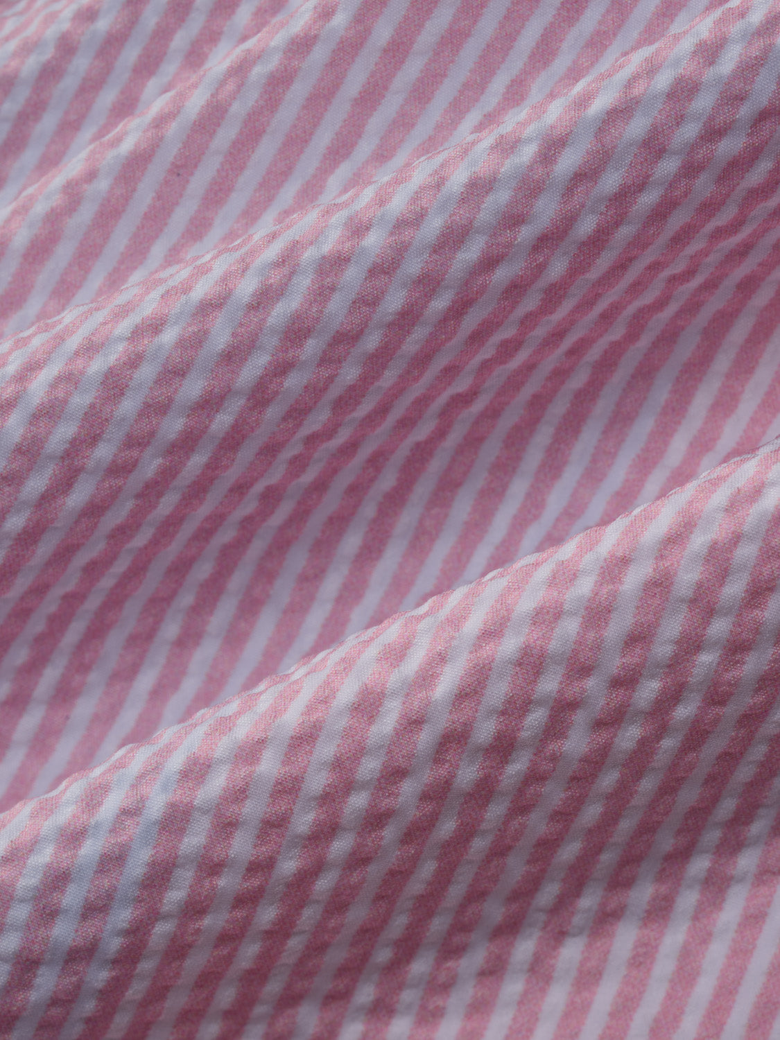 Bayberry Trunk | Pink Seersucker
