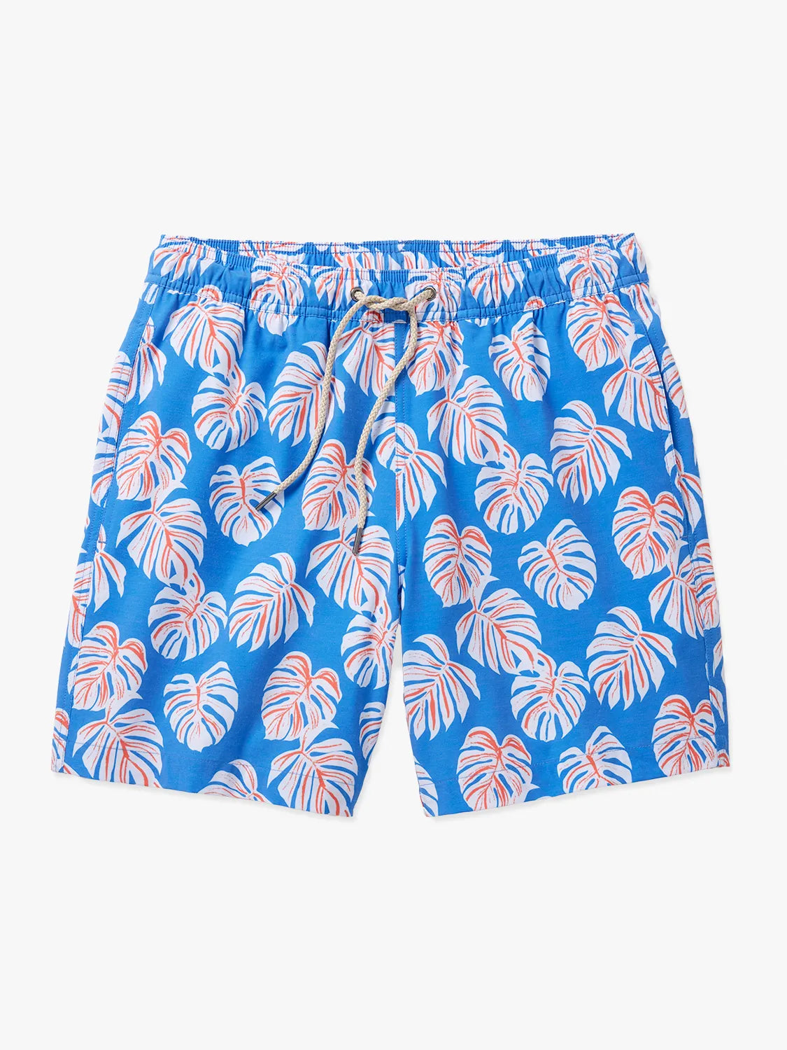 Bayberry Trunk | Malibu Blue Monstera