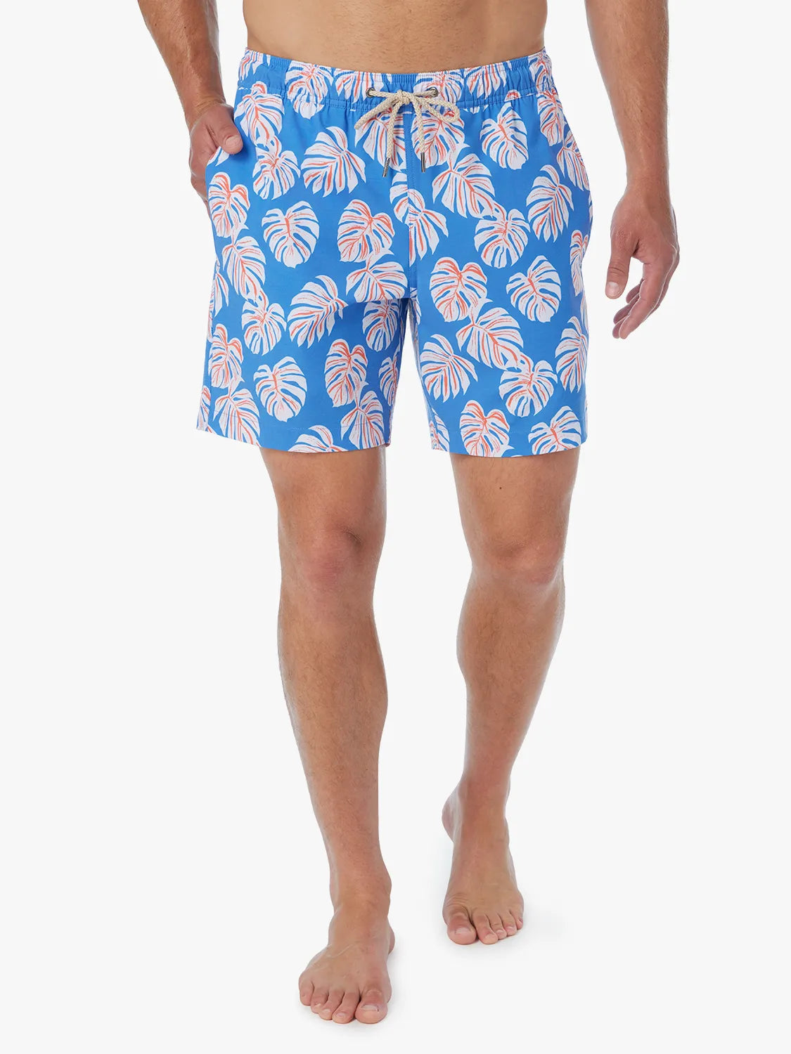 Bayberry Trunk | Malibu Blue Monstera