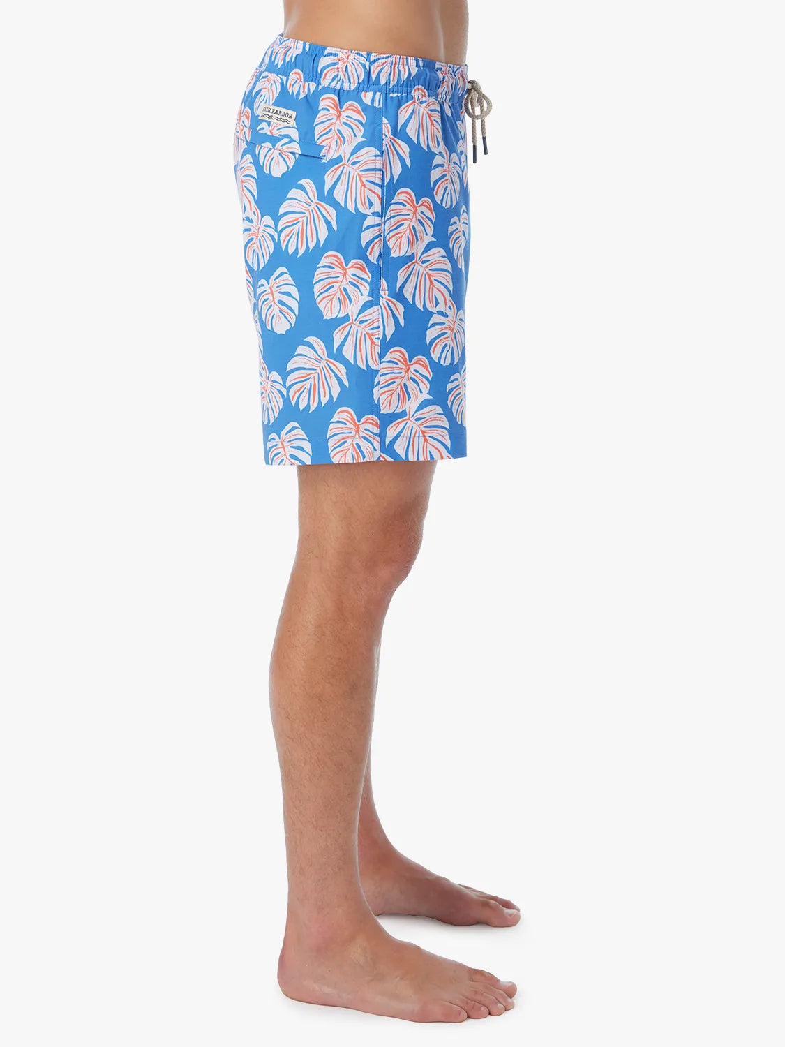 Bayberry Trunk | Malibu Blue Monstera