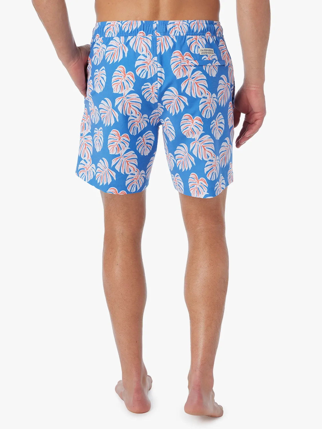 Bayberry Trunk | Malibu Blue Monstera