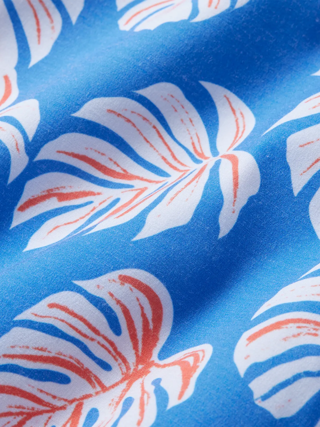 Bayberry Trunk | Malibu Blue Monstera