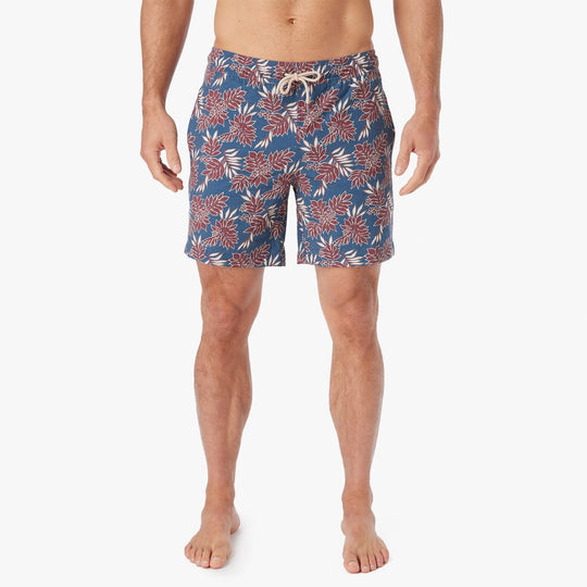 navy-crimson-leaves-bayberry-trunk