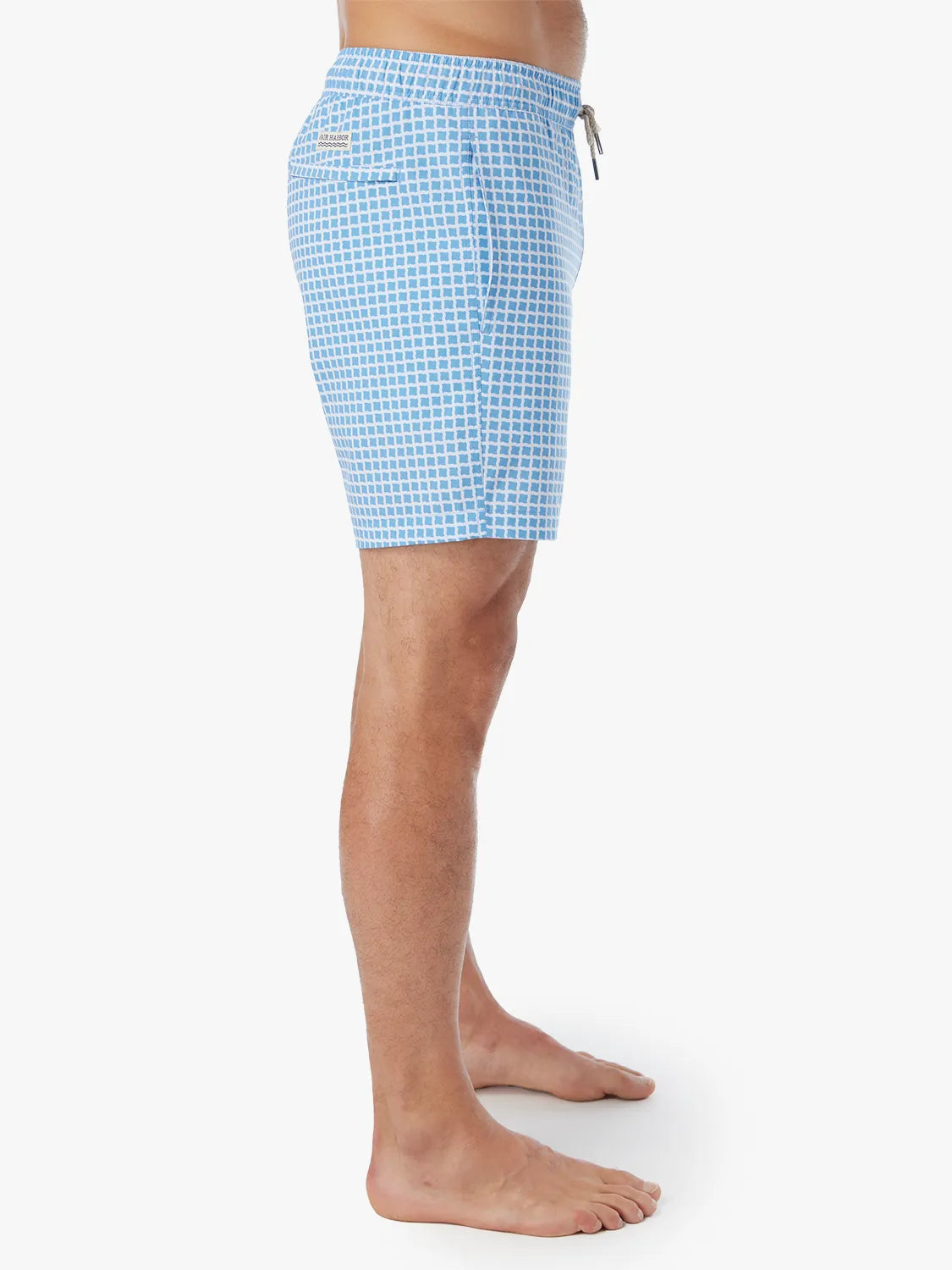 Bayberry Trunk | Blue Tiles