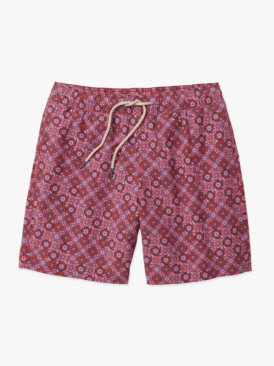 Bayberry Trunk | Coral Sand Dollars