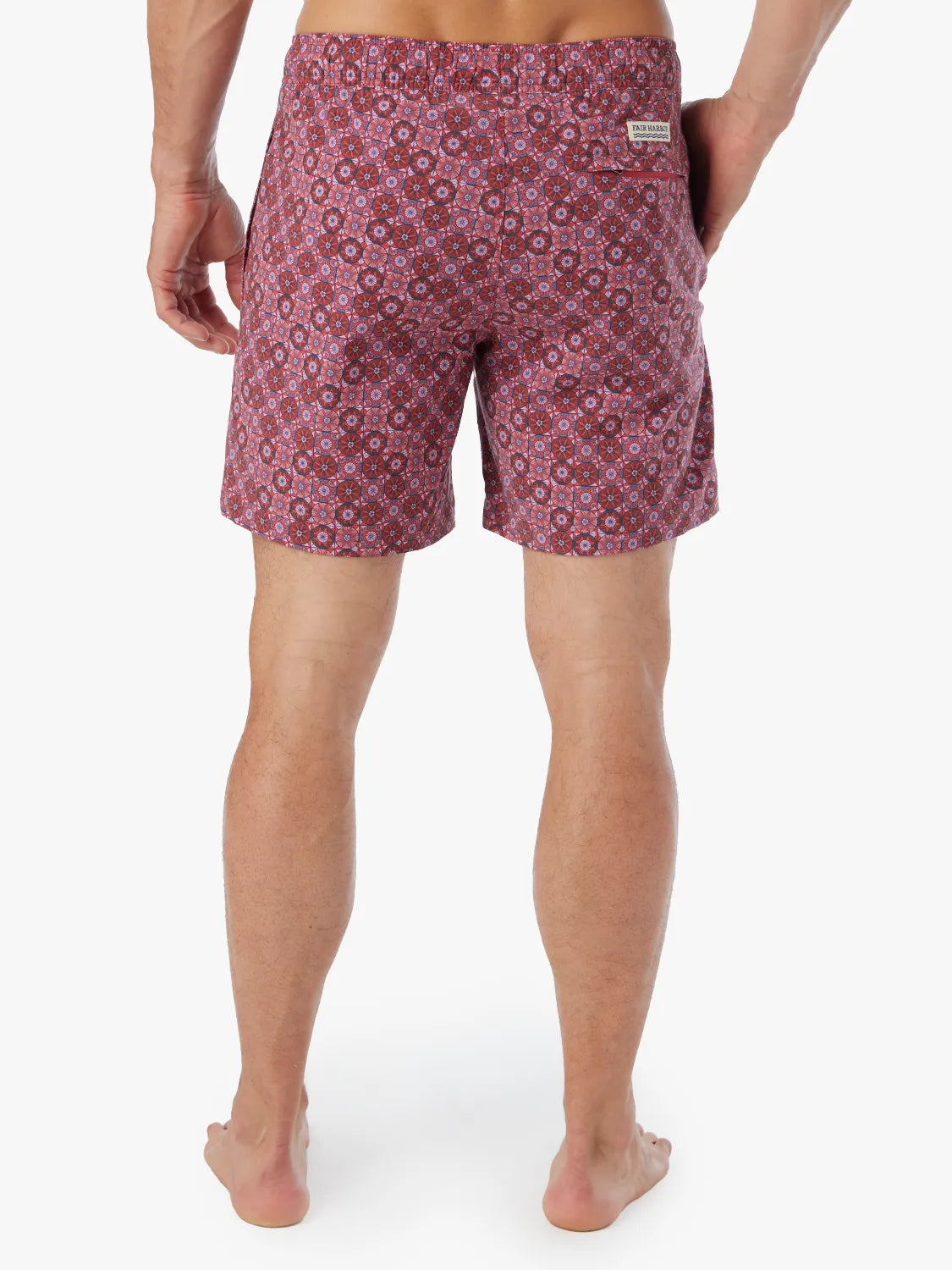 Bayberry Trunk | Coral Sand Dollars