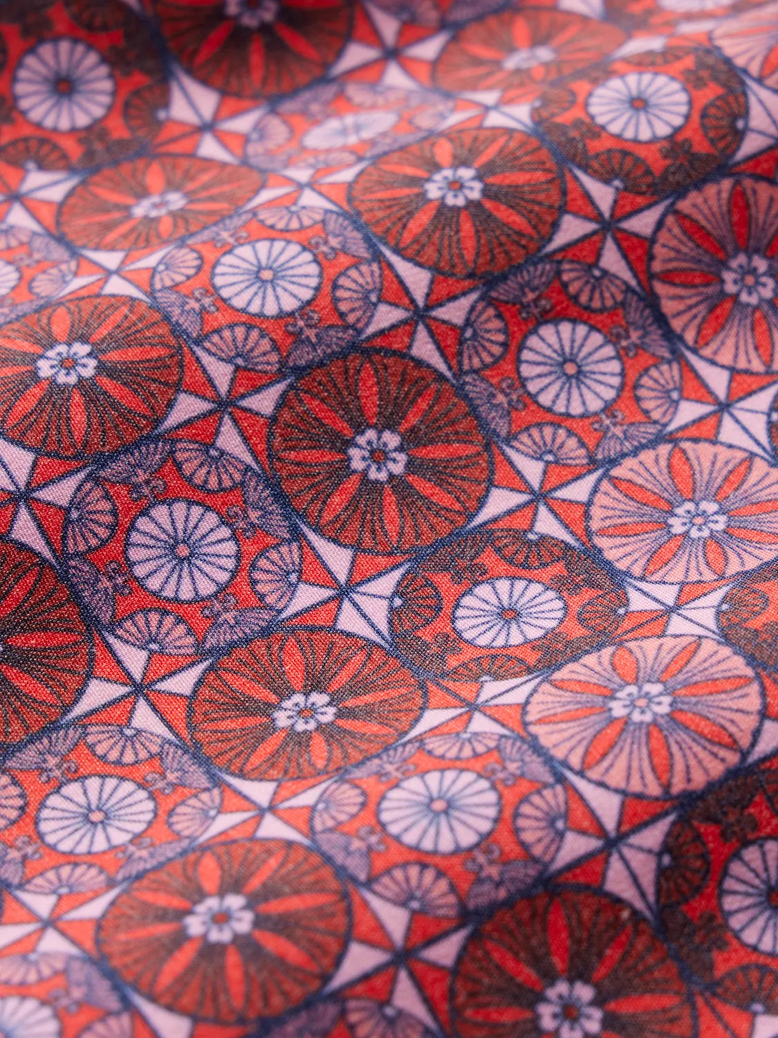 Bayberry Trunk | Coral Sand Dollars