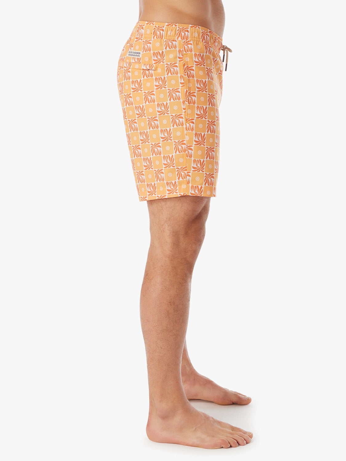 Bayberry Trunk | Orange Checkered Palms