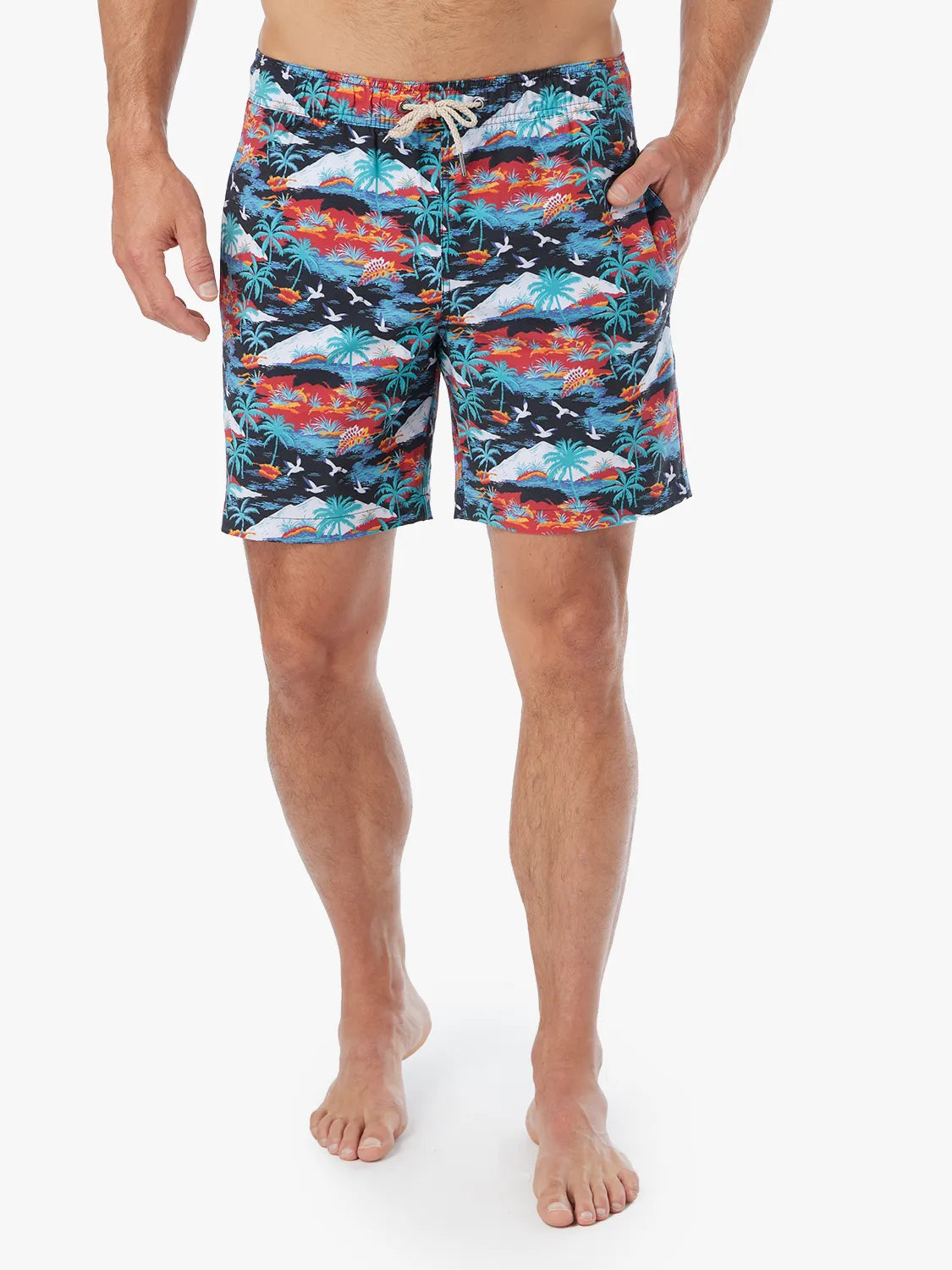 Bayberry Trunk | Tropical Peaks