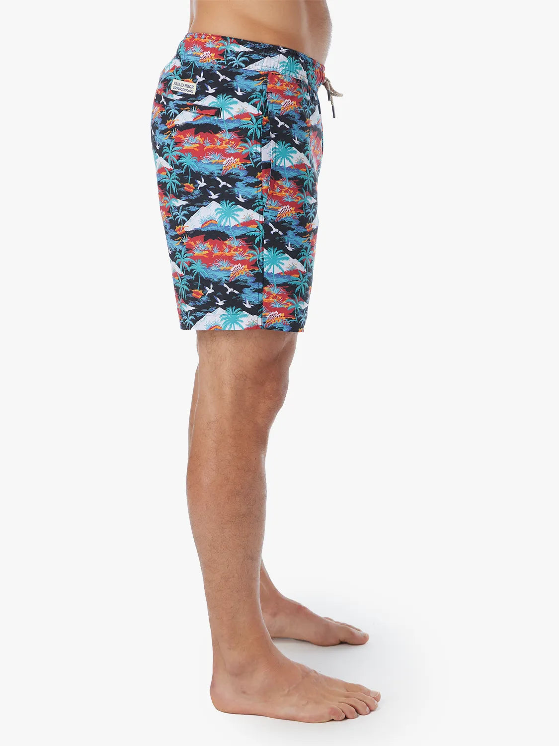 Bayberry Trunk | Tropical Peaks