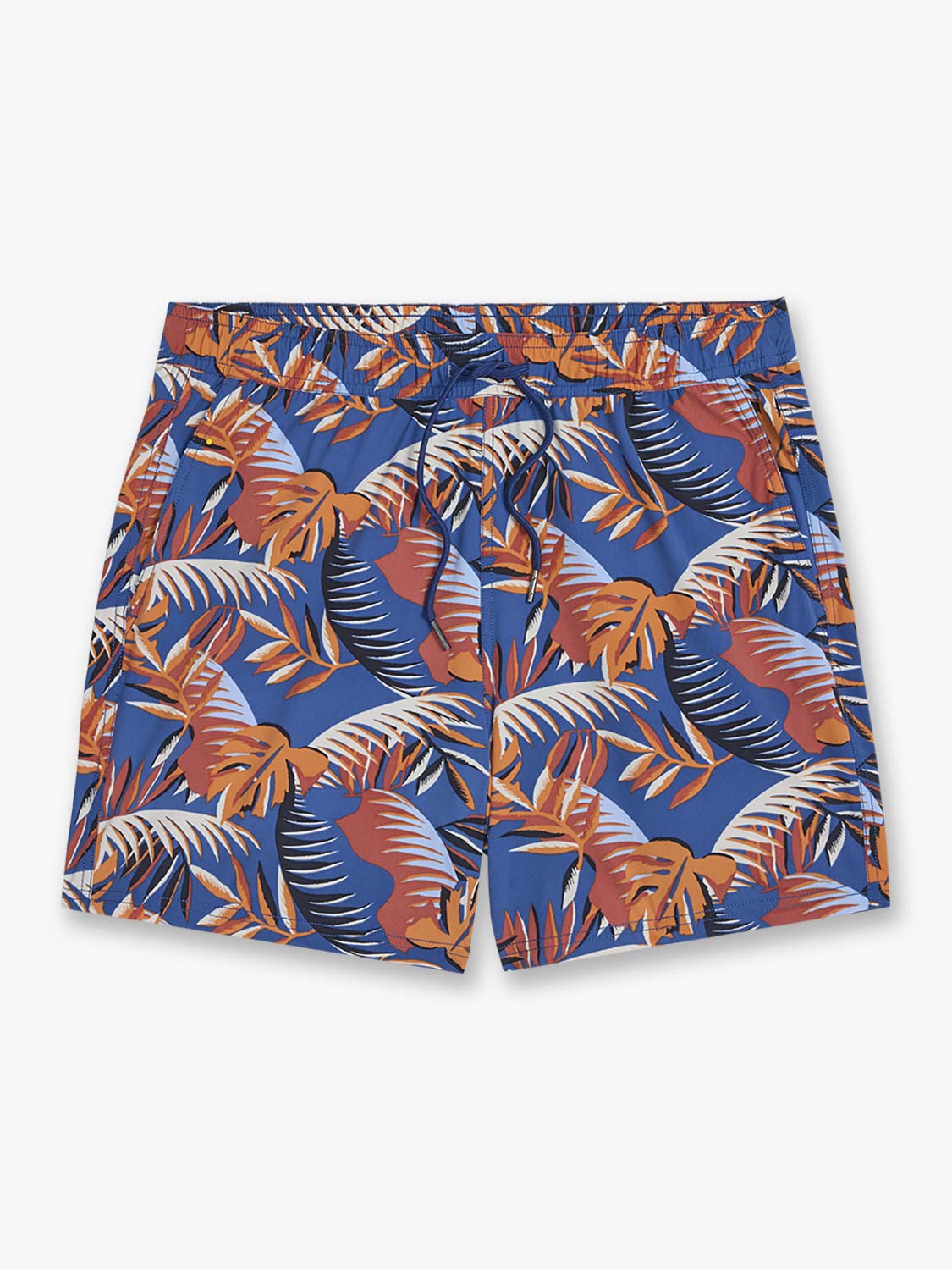 Bungalow Trunk | Macro Palms