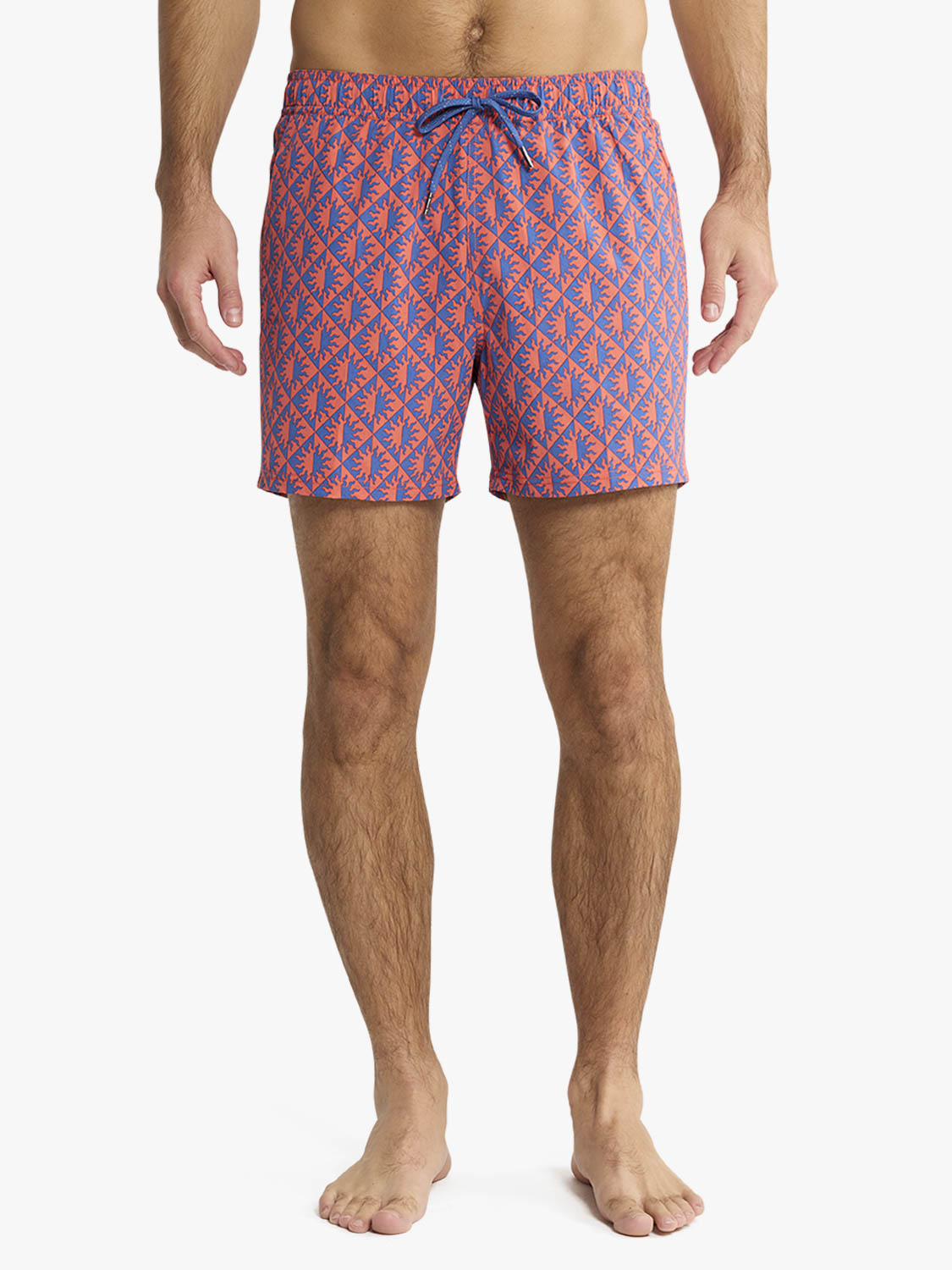 Bungalow Trunk | Cobalt Suns