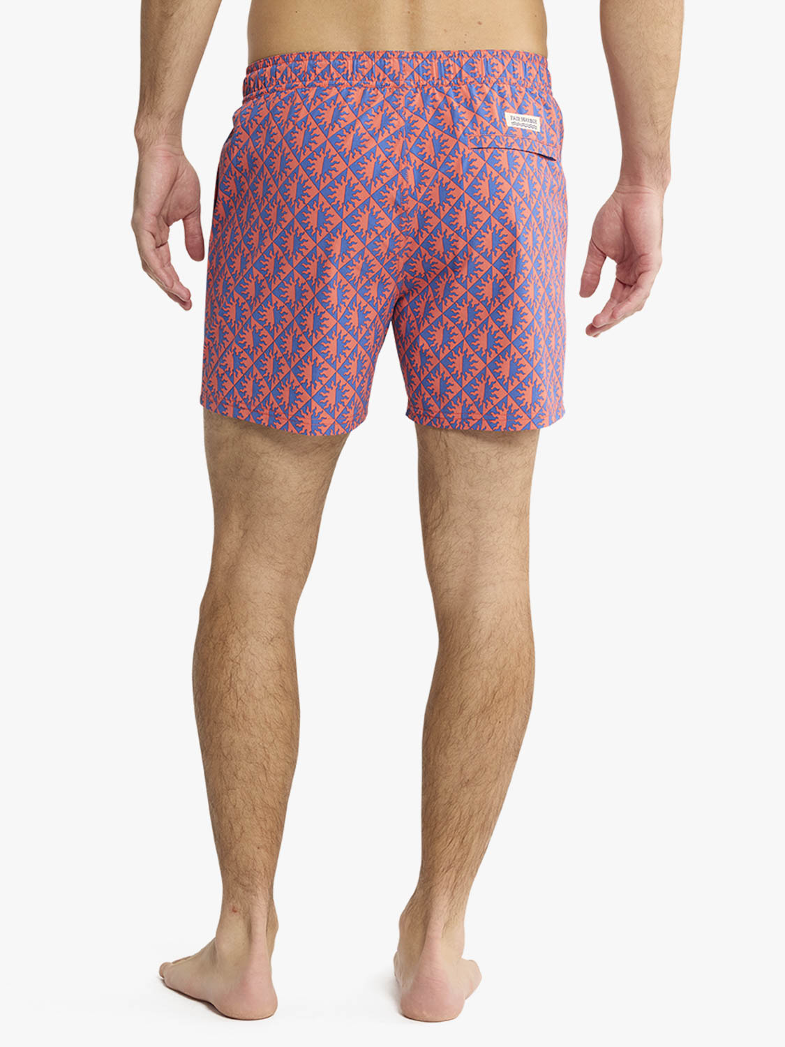 Bungalow Trunk | Cobalt Suns