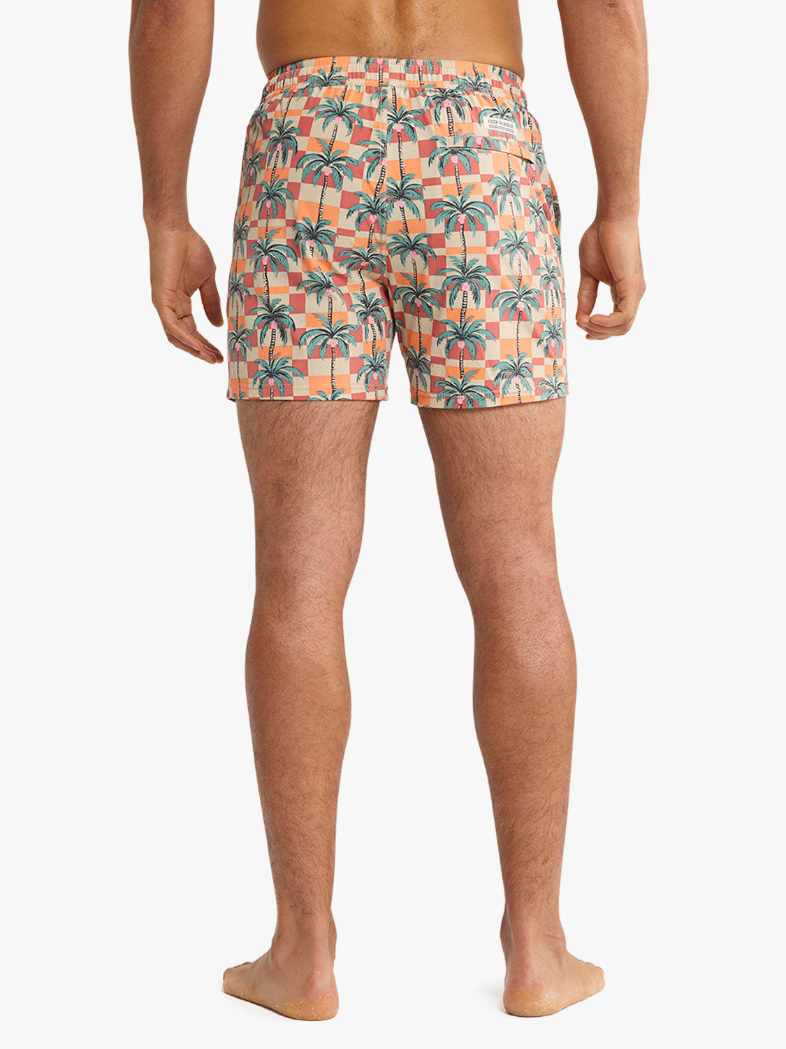 Bungalow Trunk | Checkered Palms
