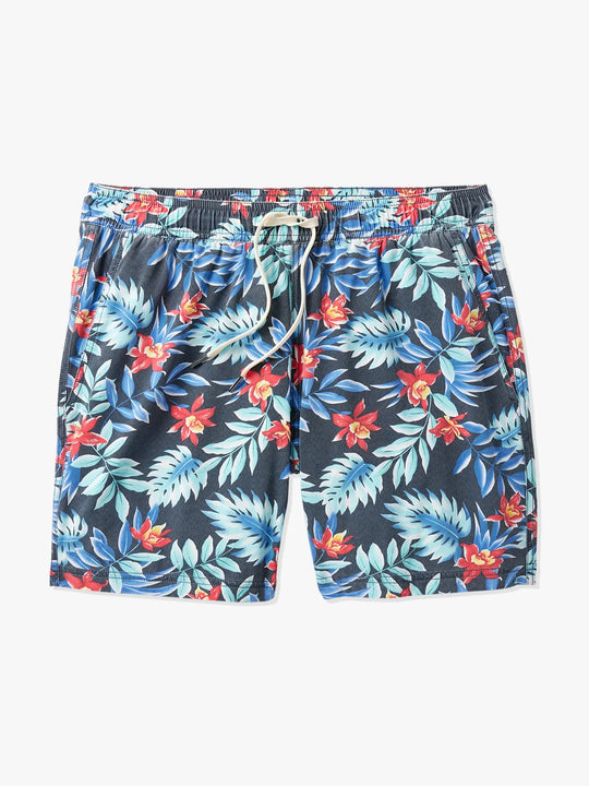 Bungalow Trunk | Midnight Palms