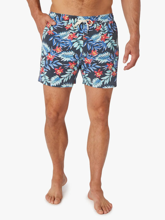 Bungalow Trunk | Midnight Palms