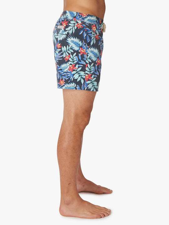 Bungalow Trunk | Midnight Palms