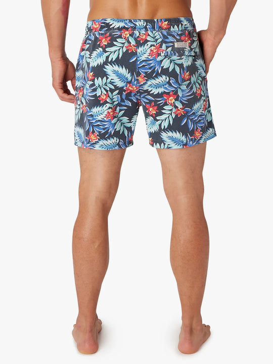 Bungalow Trunk | Midnight Palms