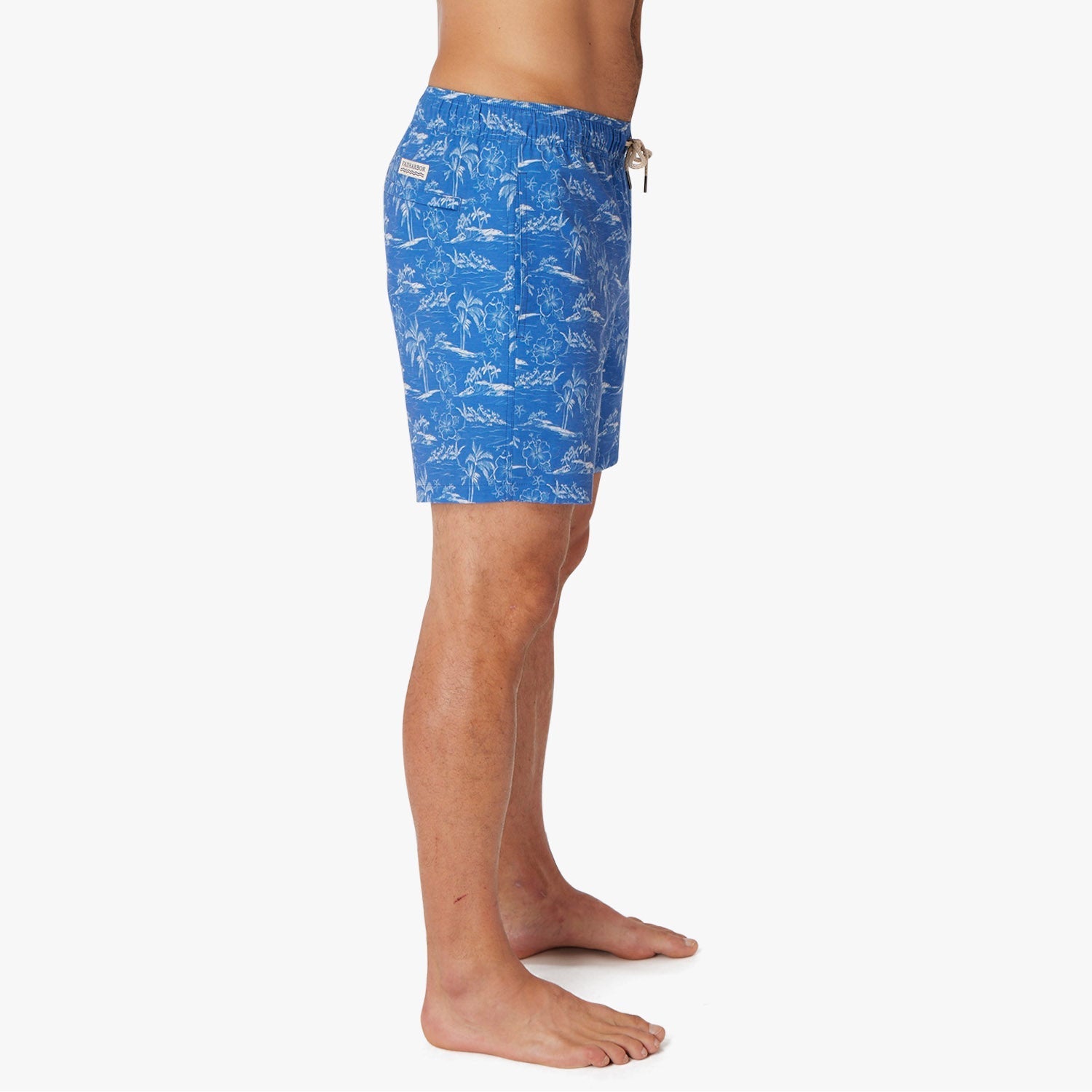 blue-island-hopper-bayberry-trunk