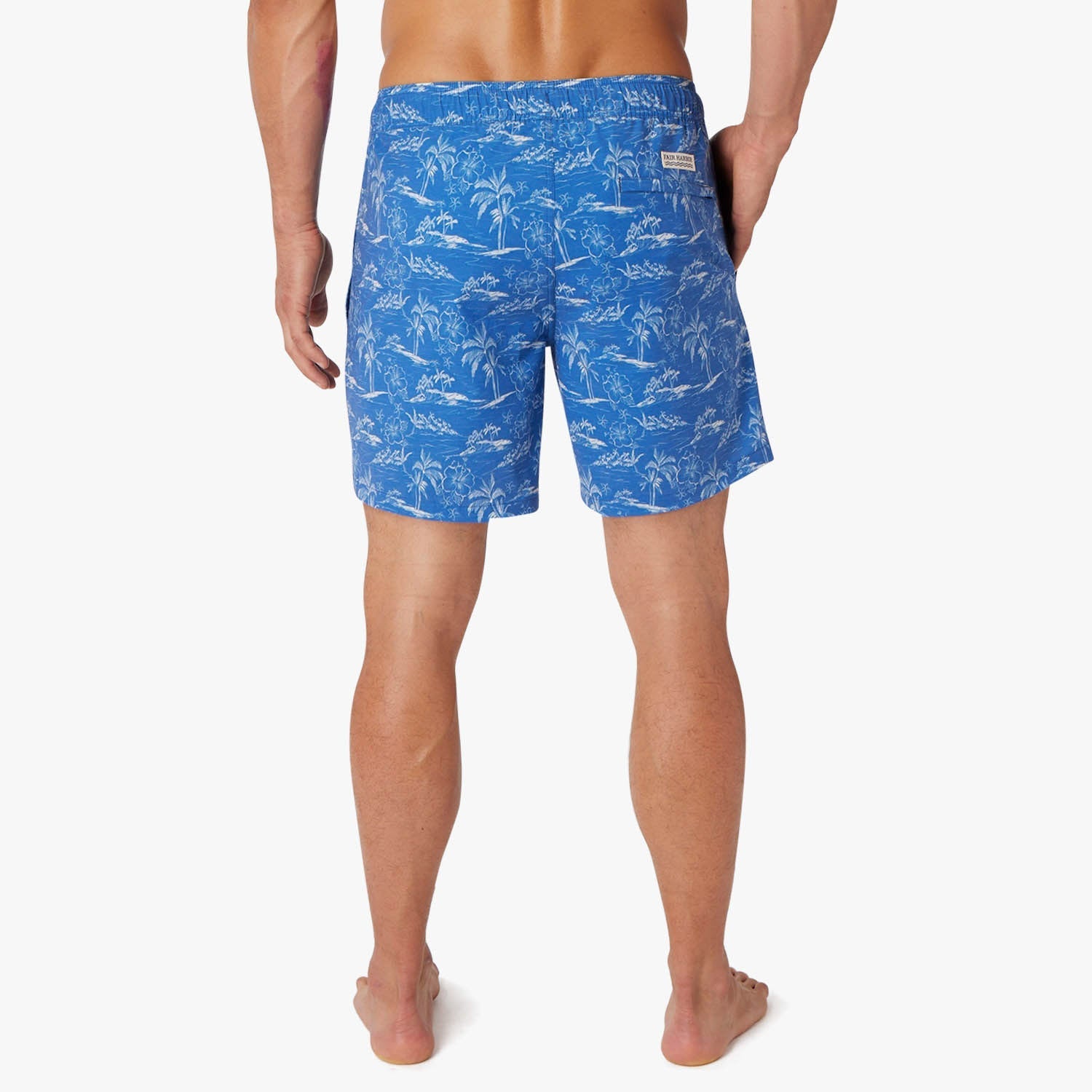 blue-island-hopper-bayberry-trunk