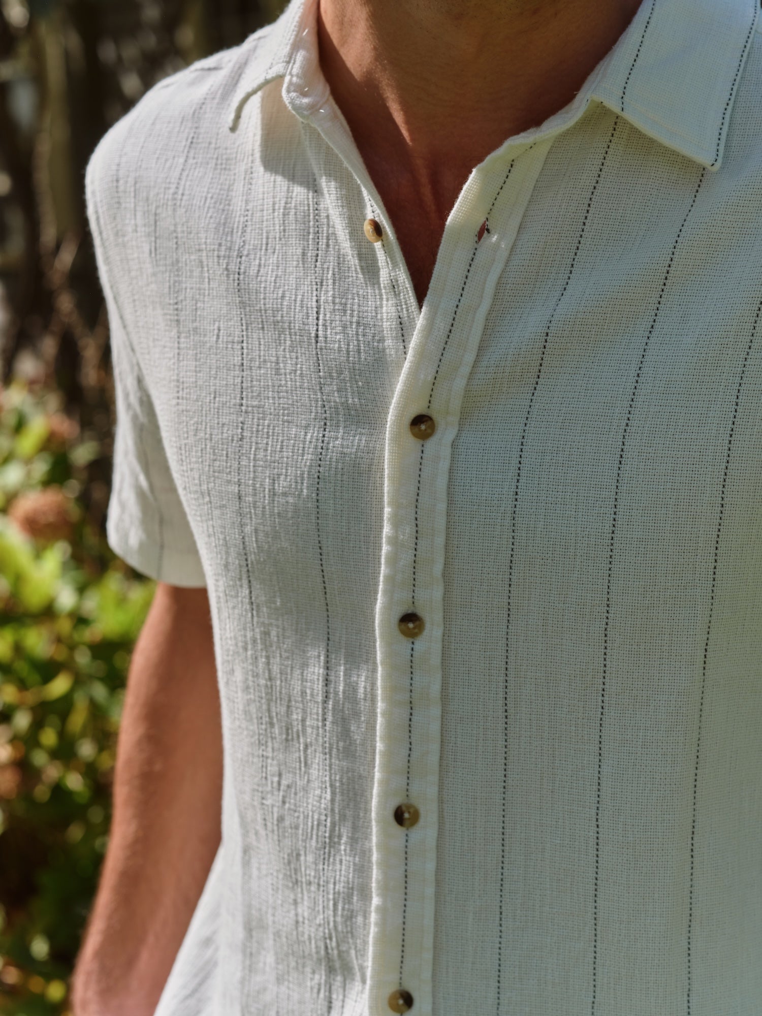 Oasis Textured Shirt | Shell Stripe