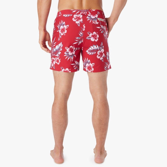 red-hibiscus-sextant-trunk