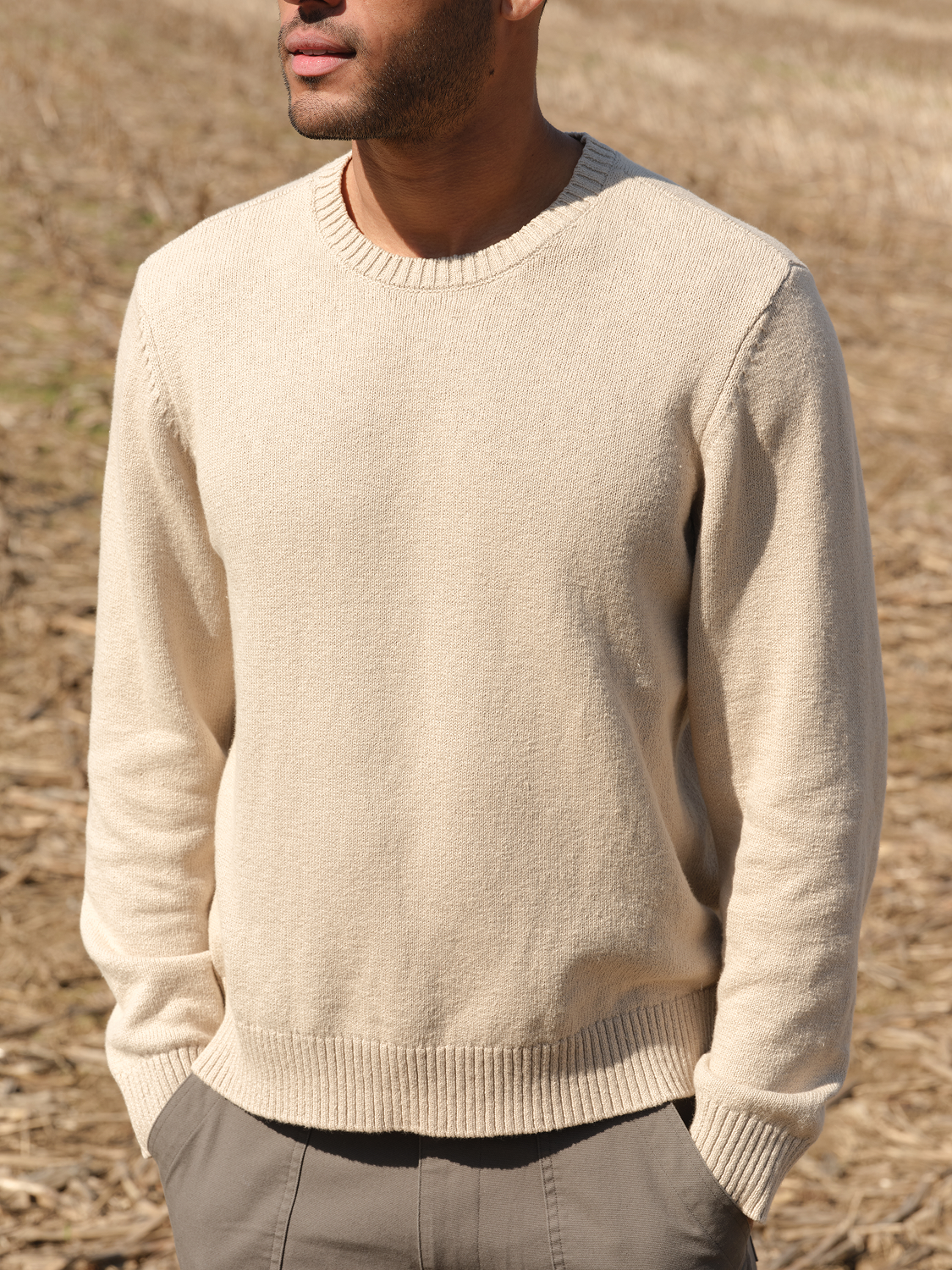 Local Crew Sweater | Beachwood