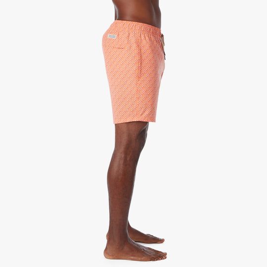 The Bayberry Trunk - orange-sea-squares-bayberry-trunk